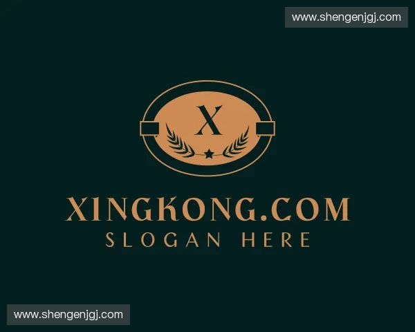 介绍xingkong.com